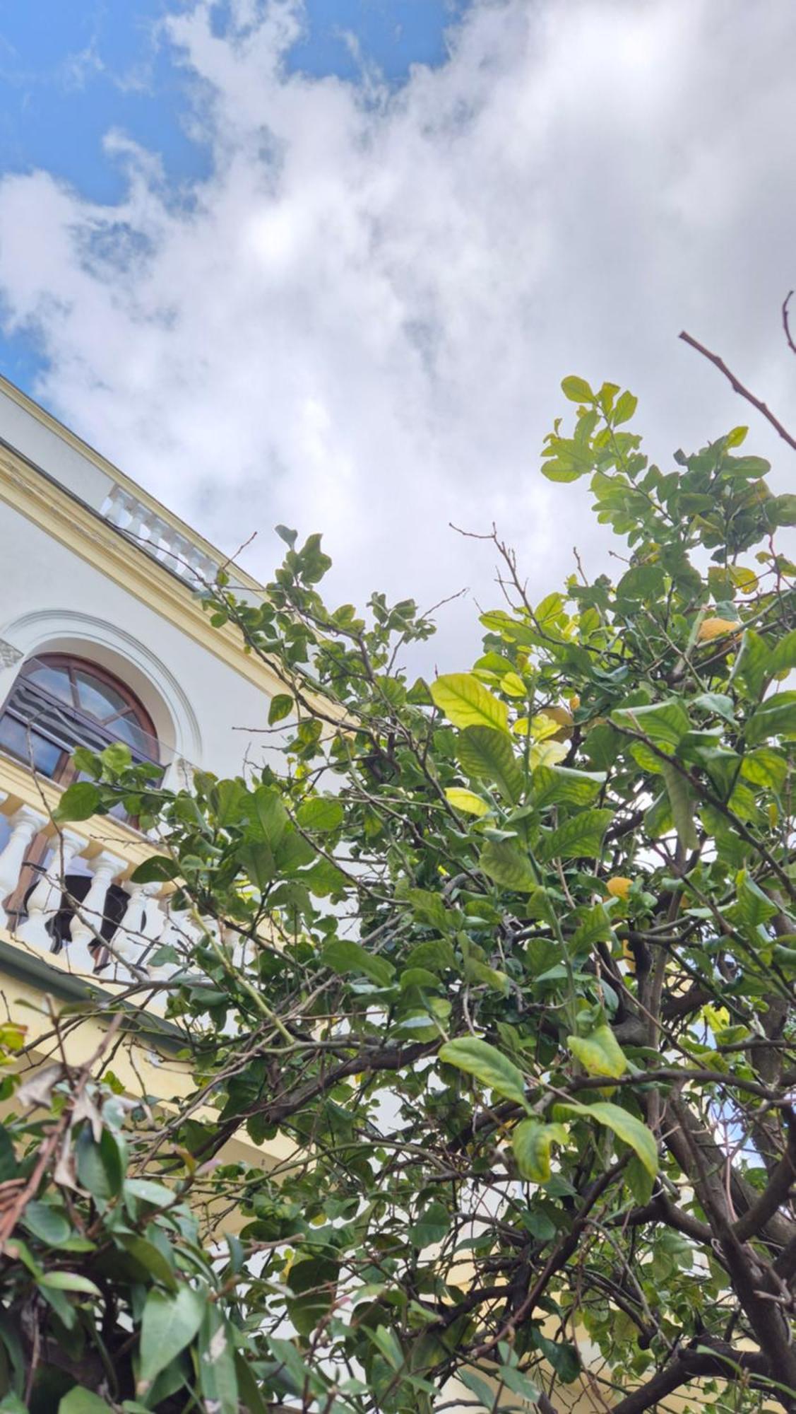 Relais Montedonzelli Bed & Breakfast Napels